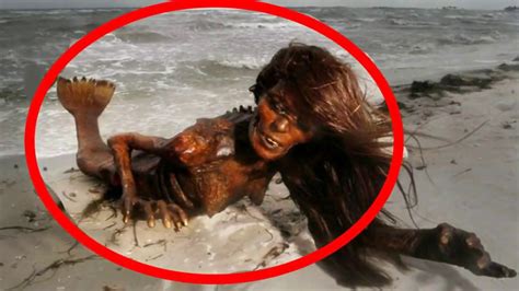 Real Mermaid Found In Beach Fish Girl Fish Women You Must Watch