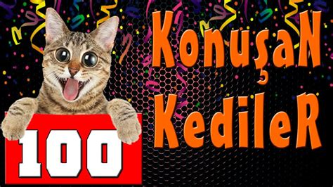 Konuşan Kediler 100 En Komik Kedi Videoları Youtube