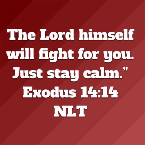 Exodus 14 14 New Living Translation Stay Calm Fight For You Bible