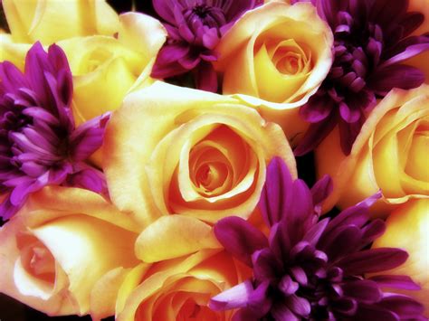 Wedding invitation purple flowers and gold rings. 42+ Purple and Gold Wallpaper on WallpaperSafari