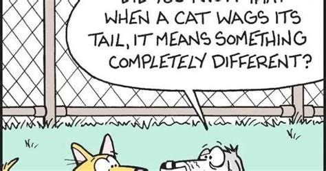 Dog Cat Tail Wag Cartoon ~ Silly Bunt Funny