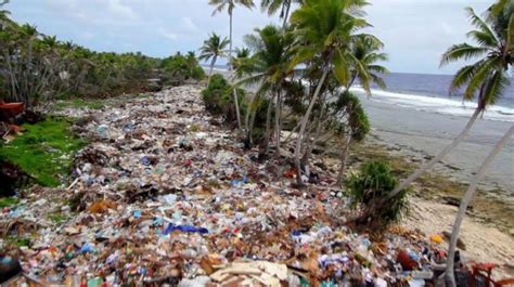 No Such Place As Away Plastic Pollution In The Oceans
