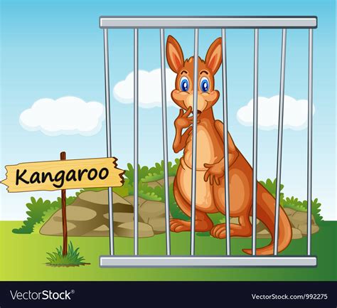Check spelling or type a new query. Cartoon Zoo Kangaroo Royalty Free Vector Image