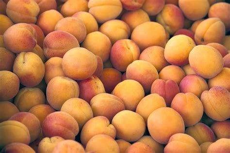 The Ultimate Summer Stone Fruit Guide