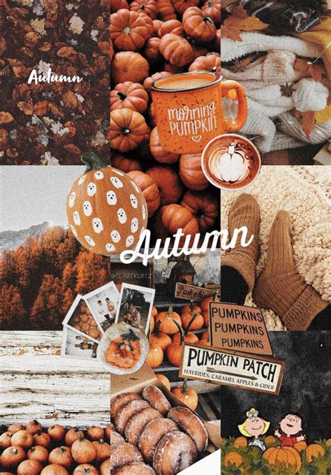 Aesthetic Autumn Collage Wallpapers Wallpaper Cave