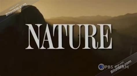 Pbs Nature 2022 Funding Credits Youtube