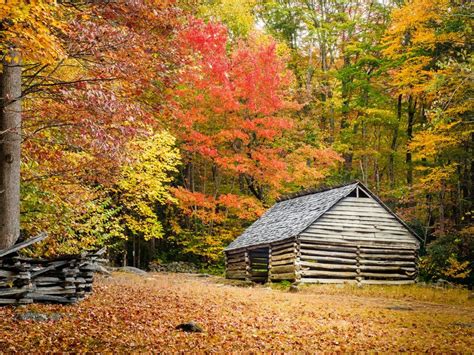 Fall Foliage Great Smoky Mountain National Park Tennessee Great