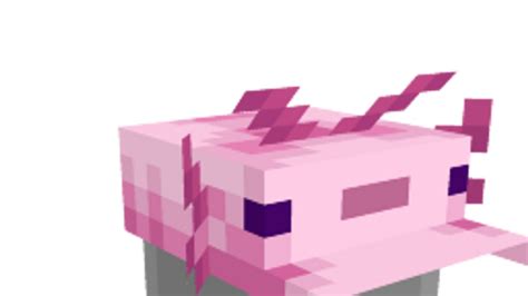 Axolotl Hat By Blu Shutter Bug Minecraft Marketplace Via
