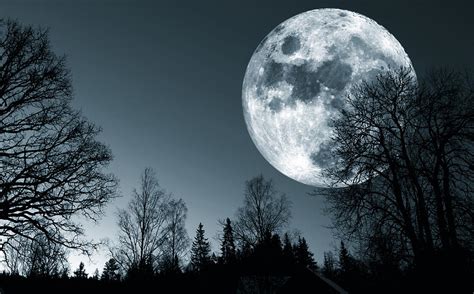 Full Moon Over Dark Forest Photograph By Christian Lagereek Fine Art