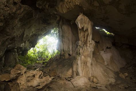 Limestone Caves In The Jungle Belize Stock Photo Image Of Cave