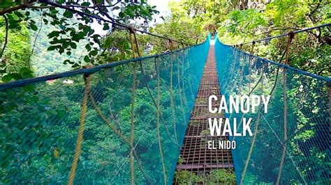 El Nido Canopy Walk Palawan Philippines Joejourneys Youtube