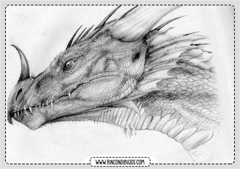 Dibujos de Dragones para colorear Dibujos de Fantasía