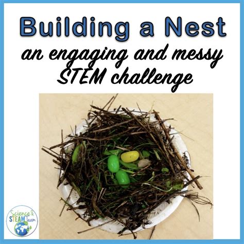 Building A Nest An Easy Engaging And Messy Stem Challenge Science