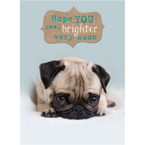 Get Well Soon Card Cute Pug