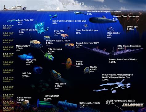 The Complete Visual Guide To Deep Sea Vehicles