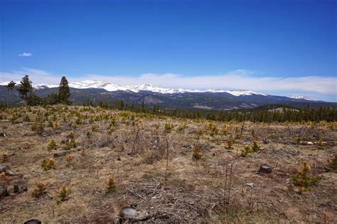 We did not find results for: Forest Service Trail 606 - GO HIKE COLORADO