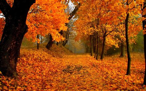 Autumn Scenic Wallpapers On Wallpaperdog