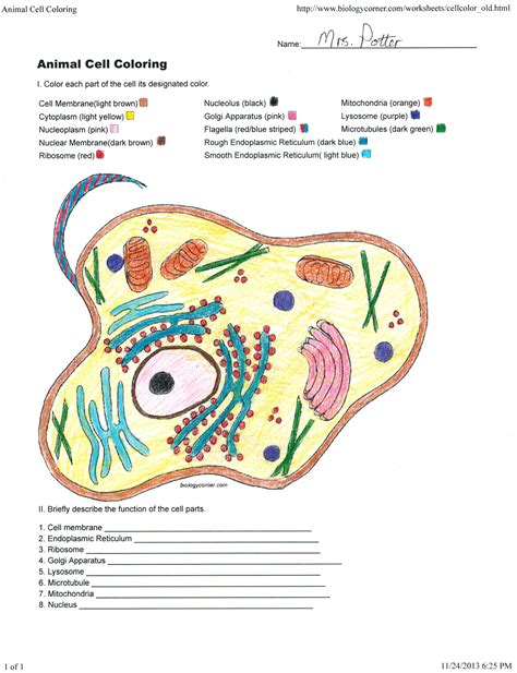 Animal cell coloring page answers photo animal cell coloring page image information: December | 2015 | PotterVilla Academics