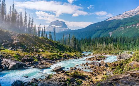 Yoho National Park River Mountains Forest Summer British Columbia