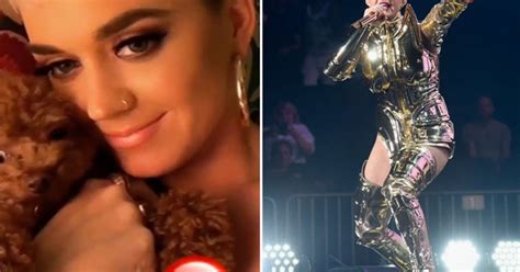 Naked Is The New Normal Katy Perry Filmed In Bed Topless Daily Star