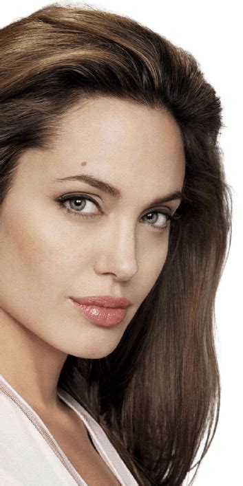 Best 60 Angelina Jolie Png Hd Transparent Background