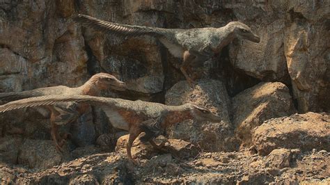 Most Legit Velociraptor Depiction Prehistoric Planet Prehistoriclife
