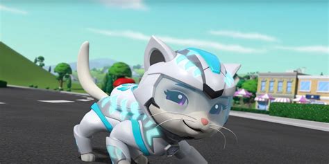 Cat Pack A Paw Patrol Special Event Paramount Climbs On Trending News