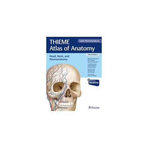 Thieme Atlas Of Anatomy Thieme Atlas Of Anatomy Head Neck And