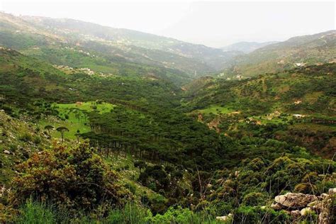 موقعیت جغرافیایی لبنان در نقطه طلاقی. لبنان الأخضر (📸 "لبنان 24")⠀⠀⠀⠀⠀⠀⠀⠀⠀ ⠀⠀⠀⠀⠀⠀⠀⠀⠀⠀⠀⠀ ⠀⠀⠀⠀⠀⠀⠀⠀⠀⠀⠀⠀ ⠀⠀⠀⠀⠀⠀⠀⠀⠀ - Lebanon in a Picture