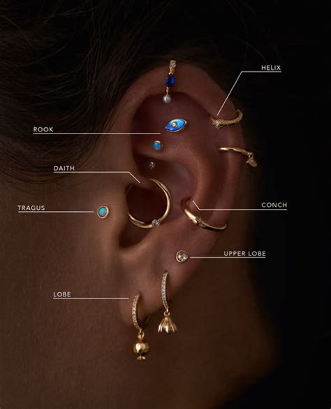 Piercing Guide Types Of Ear Piercings Pamela Love