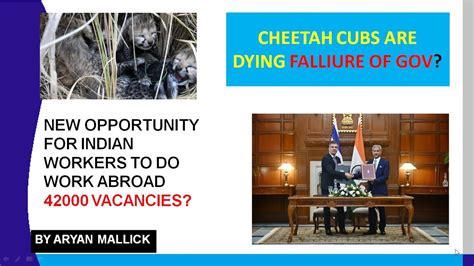 Israel Allow 42000 Indian Workers For Jobs And Why Cheetahs Cubs Dying