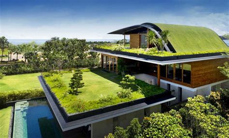 Heres Why Youll Want A Living Green Roof On Your Home