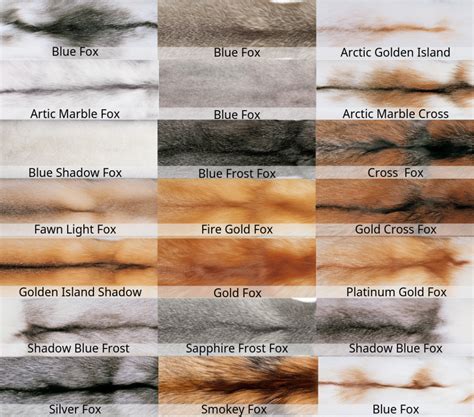 Fox Fur Coat The Ultimate Guide Haute Acorn