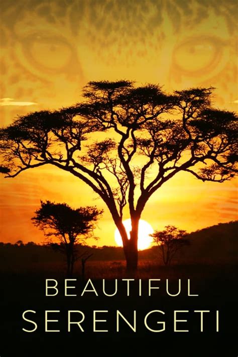 beautiful serengeti tv series 2022 — the movie database tmdb