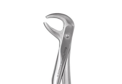 Buy Gdc Extraction Forceps Lower Premolars 75 Standard Fx75s At