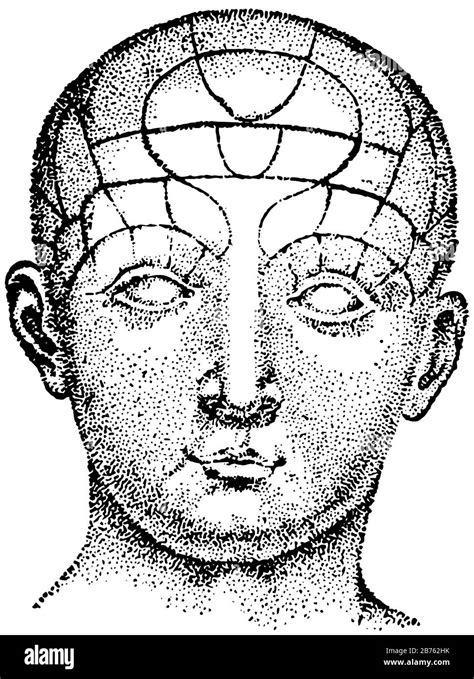 The Frontal View Of A Human Face Vintage Line Drawing Or Engraving