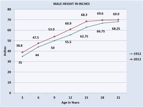 How Has The Average Human Height Changed Throughout Time Quora