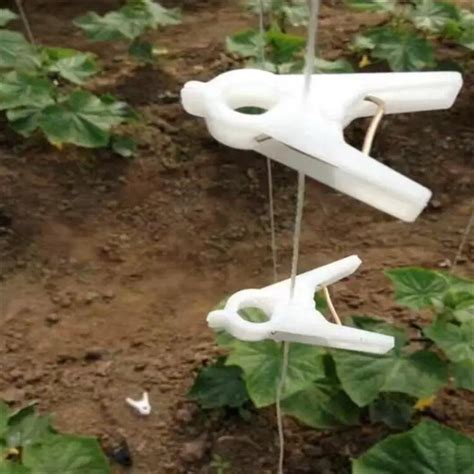 Plant Grafting Clip Double Clips Cucumber Plastic Grafting Clips For