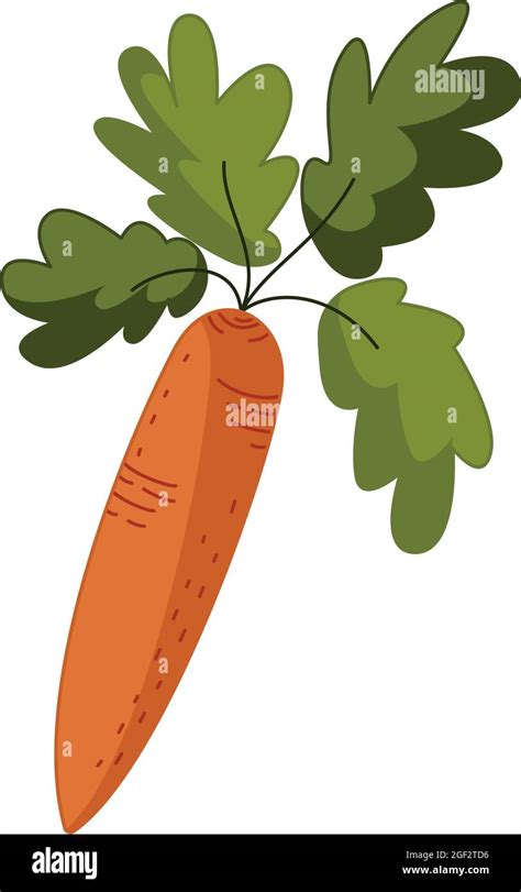 Carrot Icon In A Flat Hand Drawn Style Isolated On A White Background