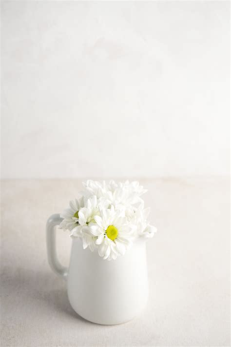 La margherita è un fiore vigoroso e si adatta ad ogni tipo di realizzazione, sia come fiore focale che come fiore di supporto. Fiori margherita in brocca sul tavolo | Foto Gratis