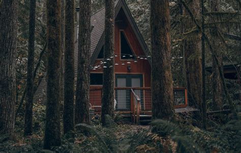 Forest Cabin Wallpapers Wallpaper Cave