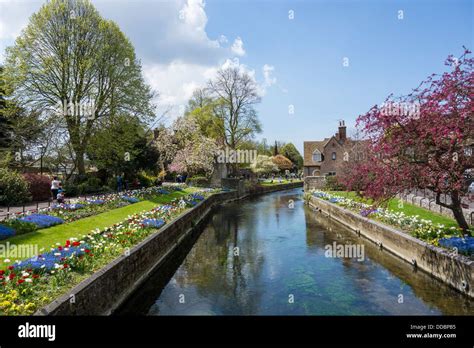 Westgate Gardens River Stour Canterbury Kent Stock Photo Alamy