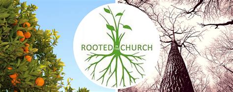 Are Your Young People Rooted Uniting Church In Australia Synod Of