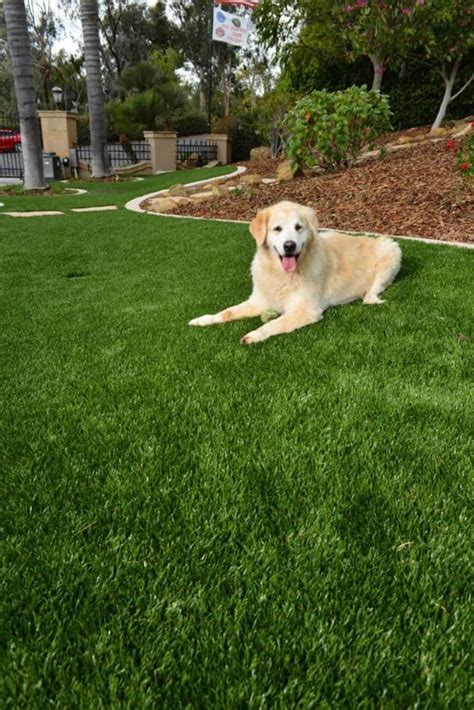 Pet Friendly Artificial Turf Fieldturf Landscape Artificial Grass