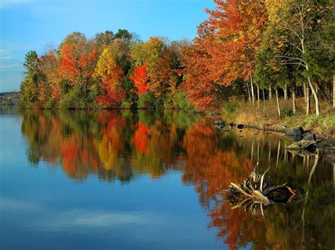 Top Spots To View Fall Foliage In Greater Philadelphia — Visit Philadelphia