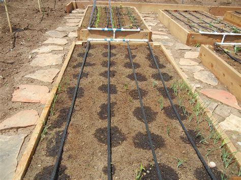 We did not find results for: Garden Drip System Irrigation | Garden irrigation system ...