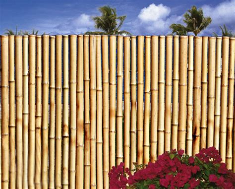 Bamboo Fence Sold In 8 Foot Sections Choose From 4 Heights Natural