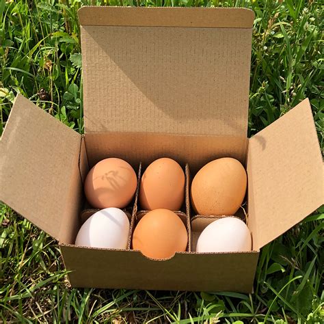 Egg Boxes And Trays Agricultural Equipment And Supplies 51 Egg Boxes Of 4