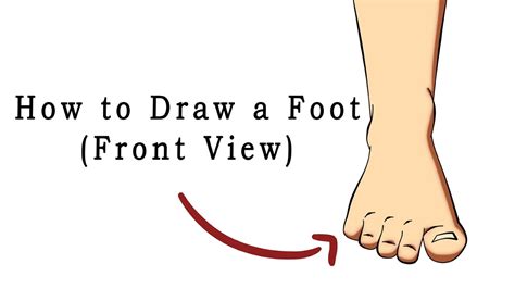 Draw A Basic Foot Front View Youtube