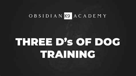 Three Ds Of Dog Training Obsidian K9 Academyobsidian K9 Academy